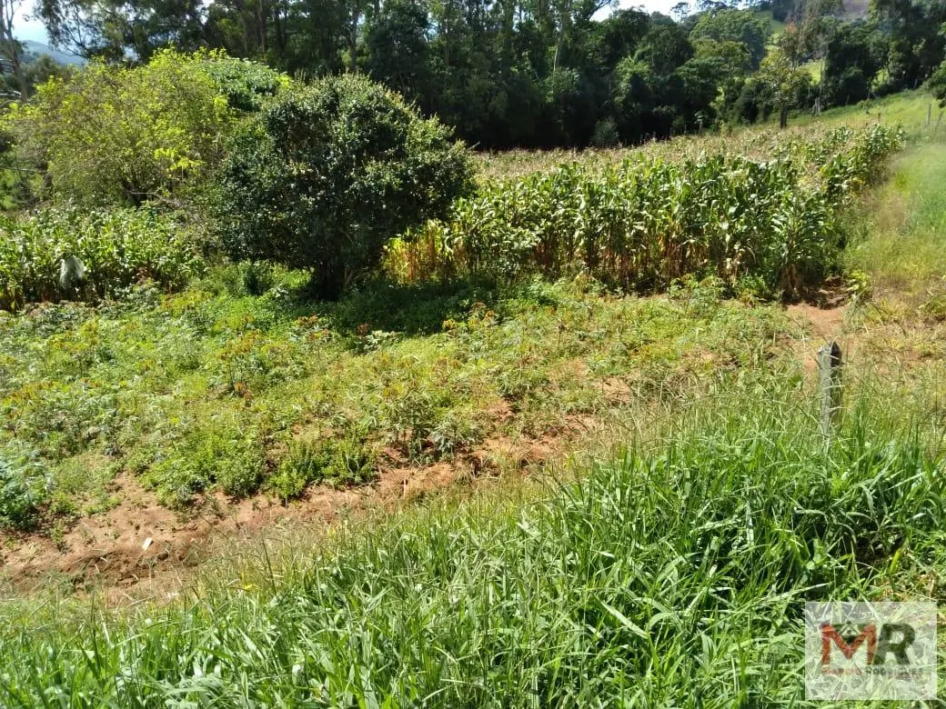 Sítio à venda de 2 ha em Toledo, MG, Brasil