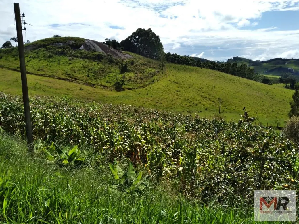 Sítio à venda de 2 ha em Toledo, MG, Brasil
