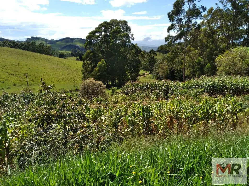 Sítio à venda de 2 ha em Toledo, MG, Brasil