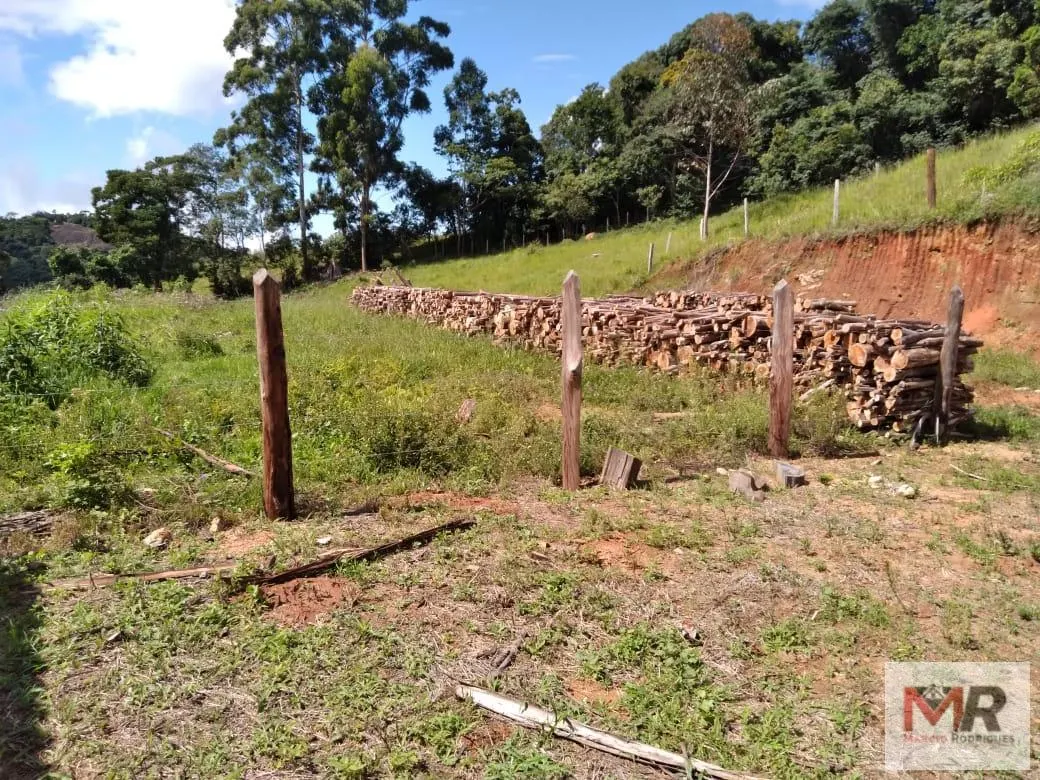 Sítio à venda de 2 ha em Toledo, MG, Brasil