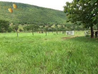 Farm for sale of 712 acres in Cáceres, MT, Brazil