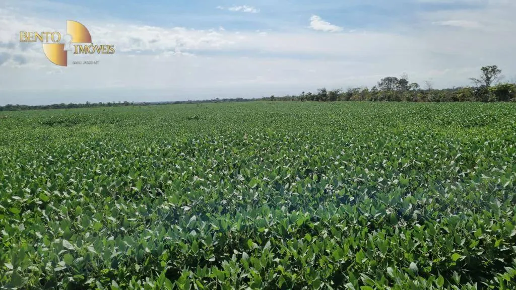 Farm for sale of 9,966 acres in Porto Alegre do Norte, MT, Brazil