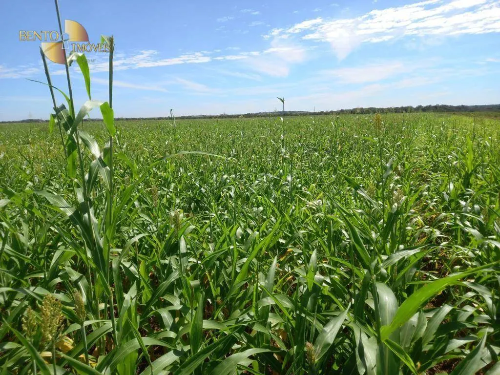 Farm for sale of 9,966 acres in Porto Alegre do Norte, MT, Brazil