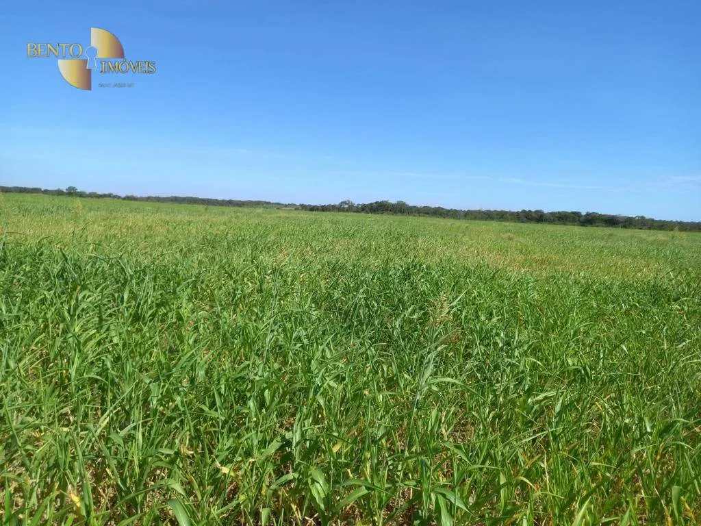 Farm for sale of 9,966 acres in Porto Alegre do Norte, MT, Brazil