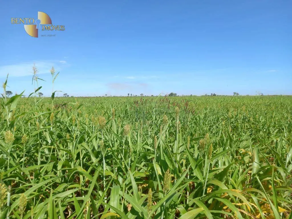 Farm for sale of 9,966 acres in Porto Alegre do Norte, MT, Brazil