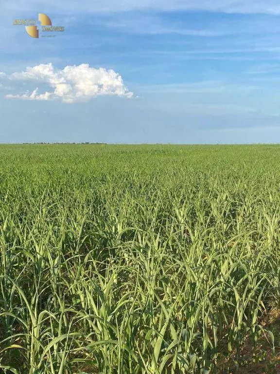 Farm for sale of 9,966 acres in Porto Alegre do Norte, MT, Brazil