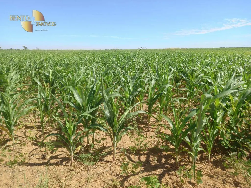 Farm for sale of 9,966 acres in Porto Alegre do Norte, MT, Brazil