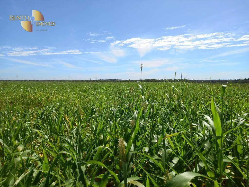 Farm for sale of 9,966 acres in Porto Alegre do Norte, MT, Brazil