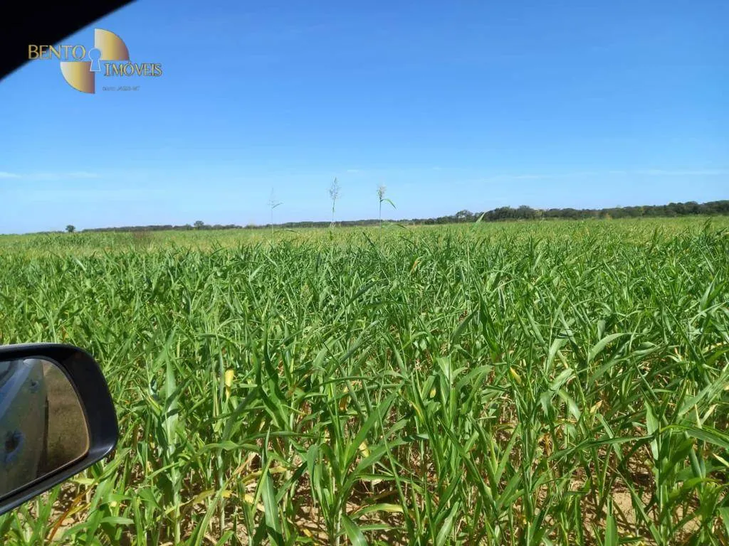 Farm for sale of 9,966 acres in Porto Alegre do Norte, MT, Brazil