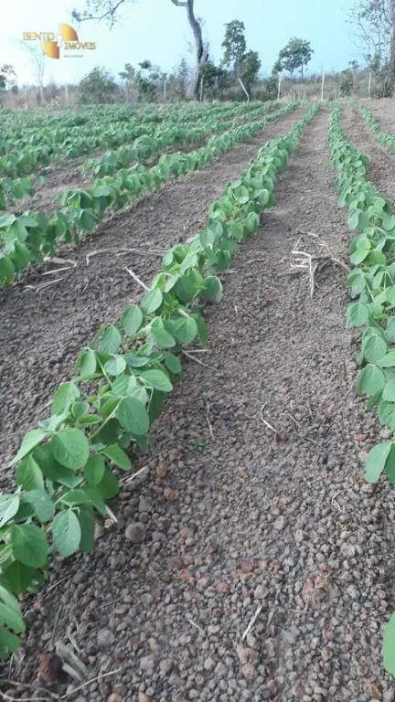 Farm for sale of 9,966 acres in Porto Alegre do Norte, MT, Brazil