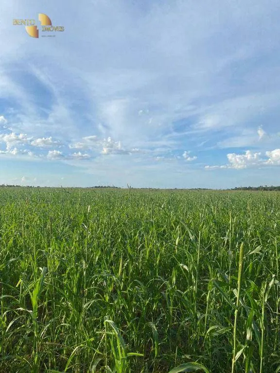 Farm for sale of 9,966 acres in Porto Alegre do Norte, MT, Brazil