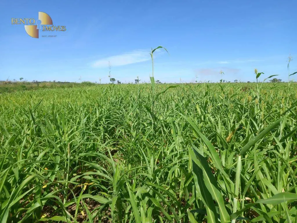 Farm for sale of 9,966 acres in Porto Alegre do Norte, MT, Brazil