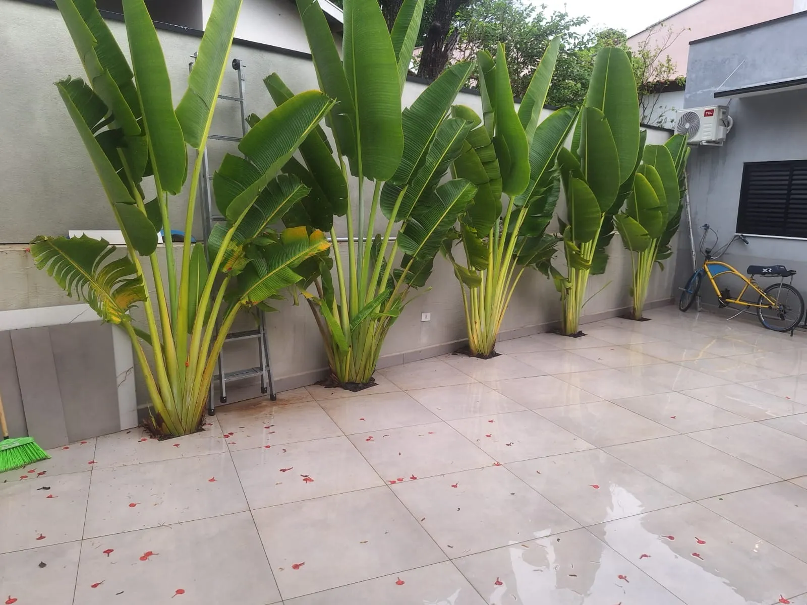 House  of 360 m² in Sumaré, SP, Brazil