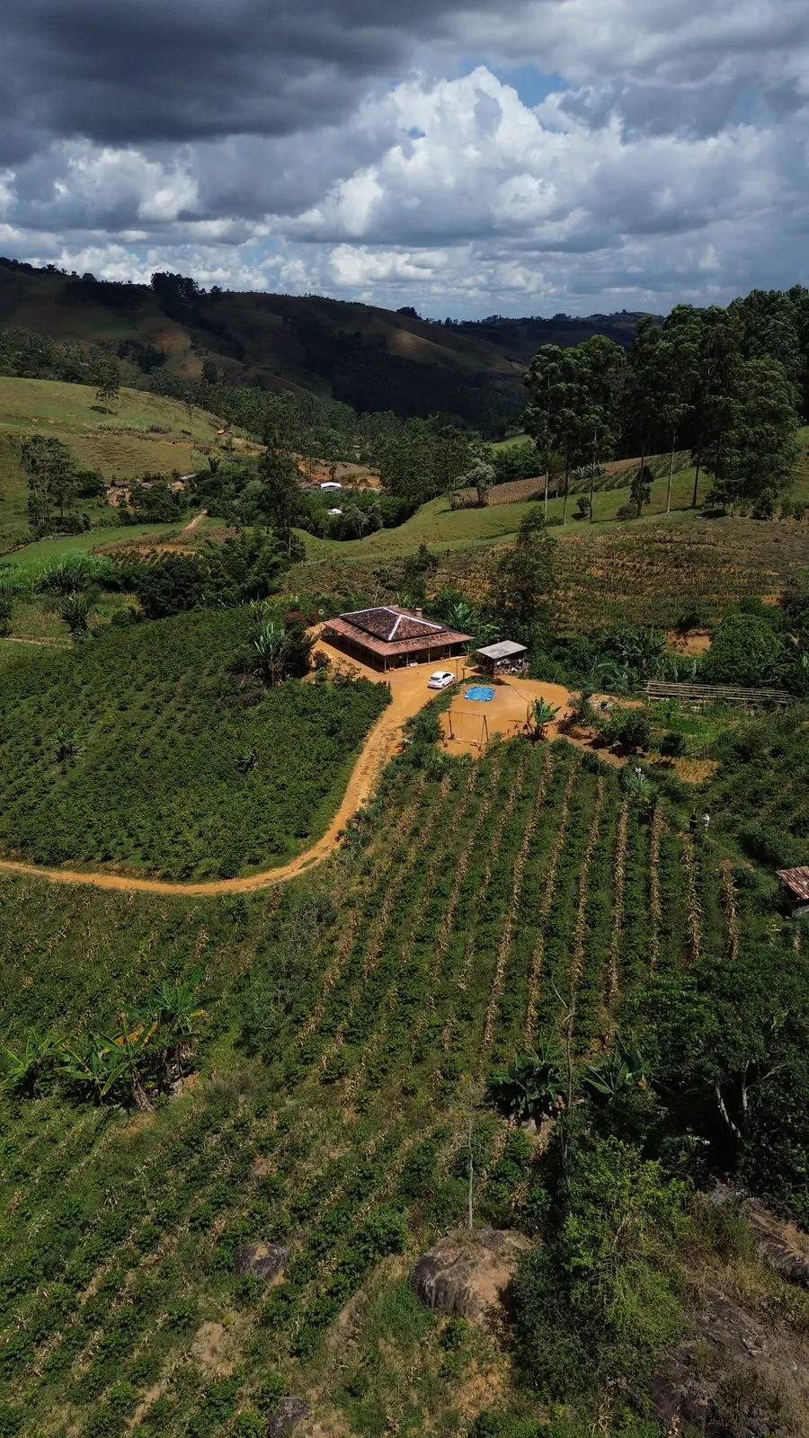 Sítio à venda de 5 ha em Fervedouro, MG, Brasil