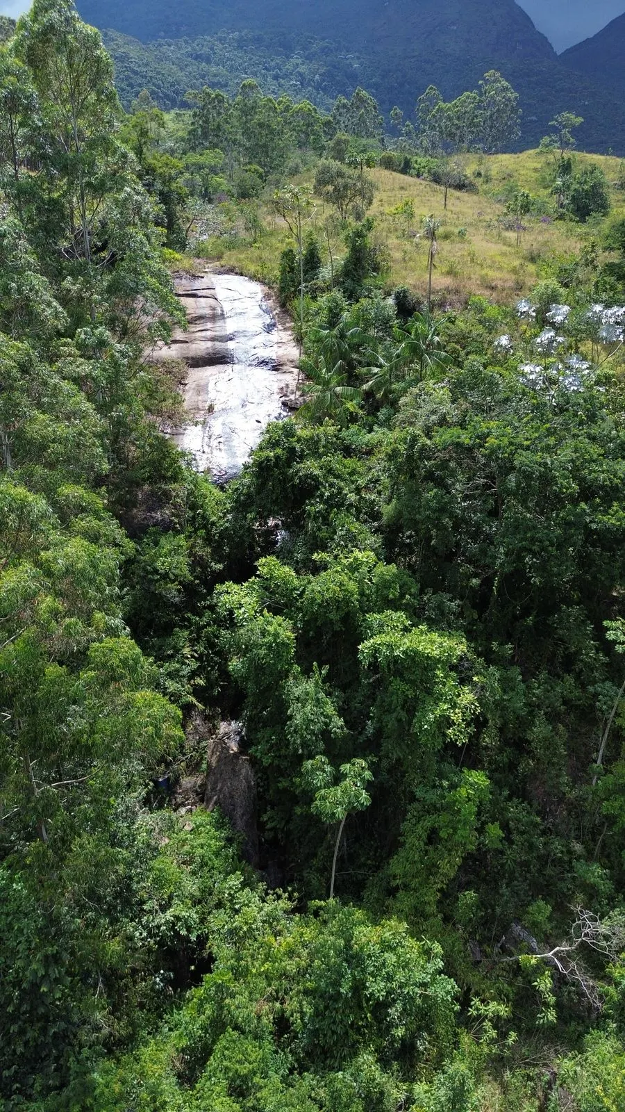 Sítio à venda de 5 ha em Fervedouro, MG, Brasil