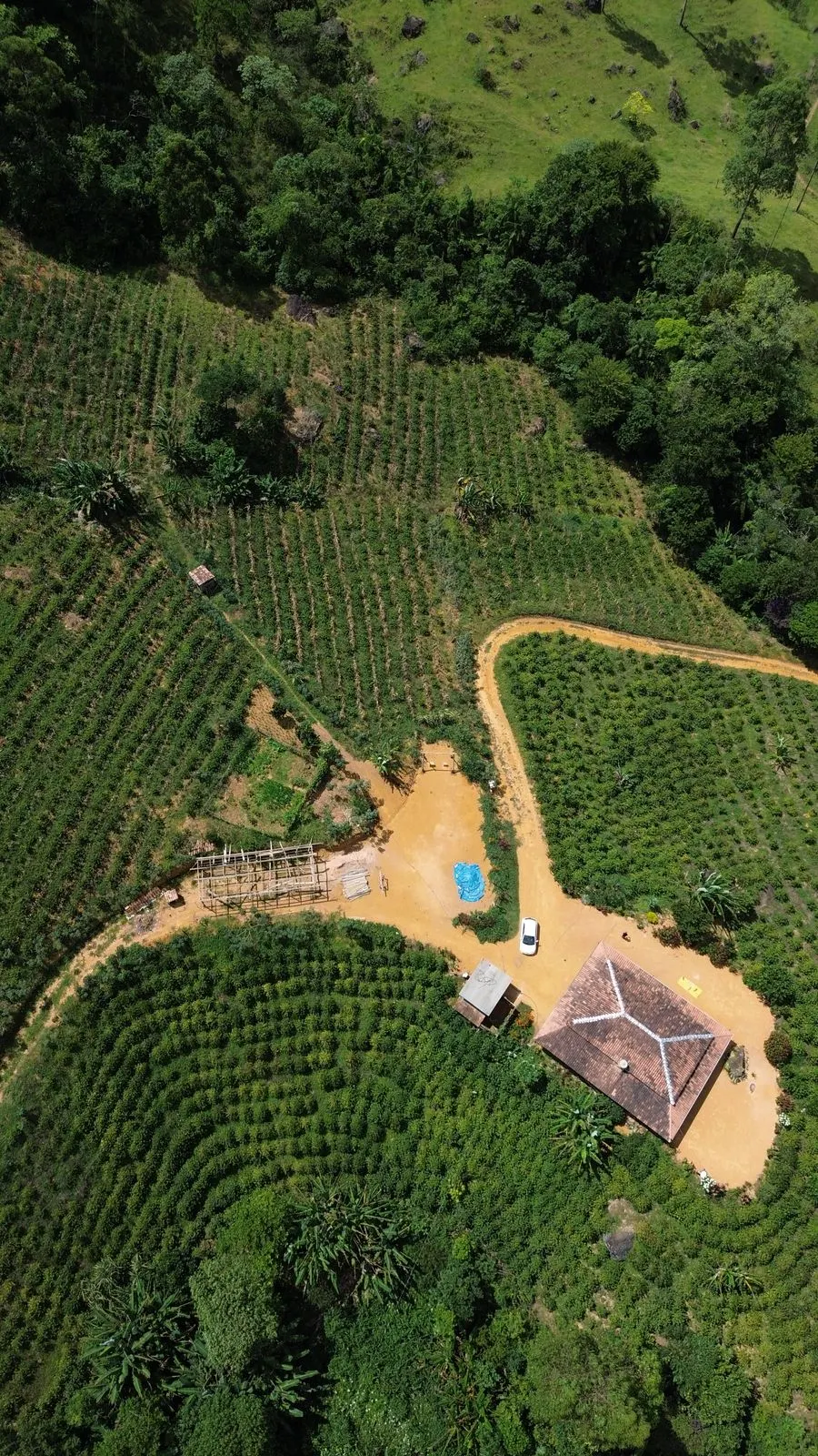 Sítio à venda de 5 ha em Fervedouro, MG, Brasil