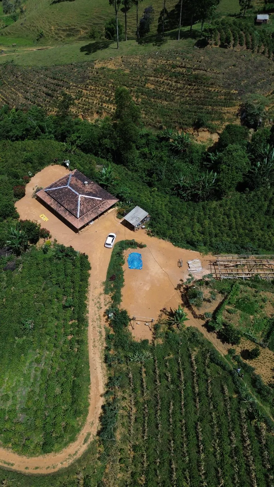 Sítio à venda de 5 ha em Fervedouro, MG, Brasil