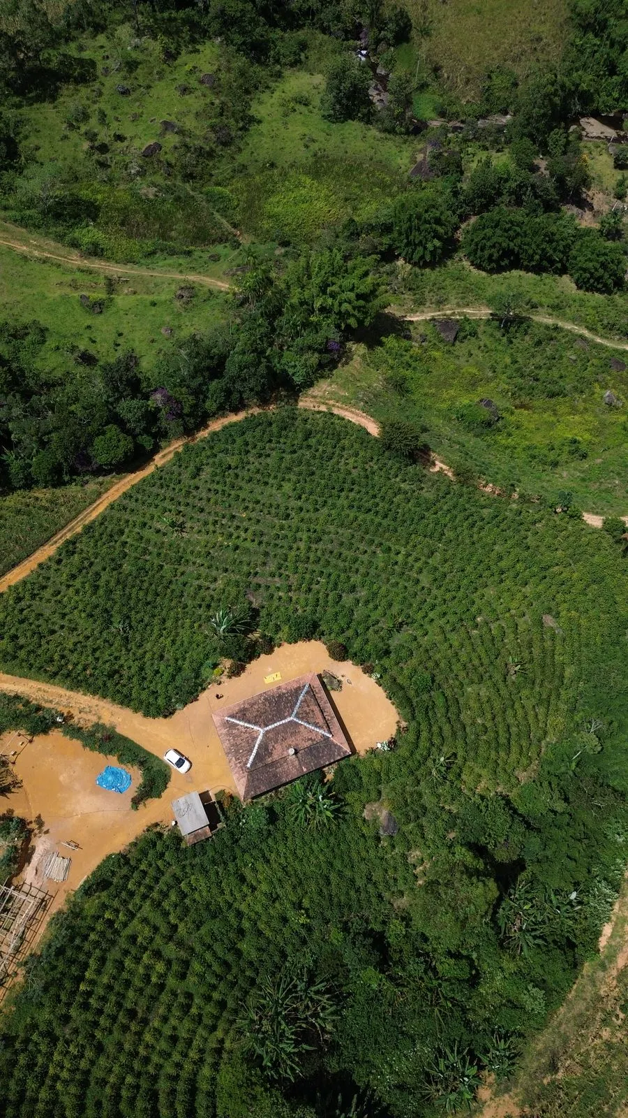 Sítio à venda de 5 ha em Fervedouro, MG, Brasil