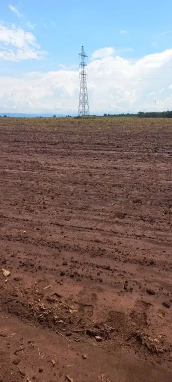 Fazenda à venda de 320 ha em Jangada, MT, Brasil