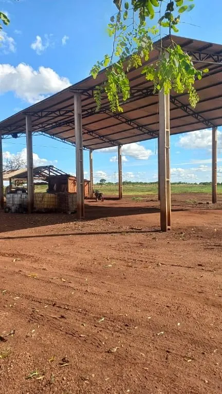 Fazenda à venda de 320 ha em Jangada, MT, Brasil