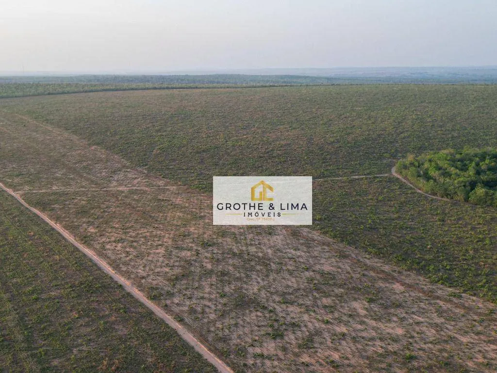 Fazenda à venda de 1.210 ha em Araguaína, TO, Brasil