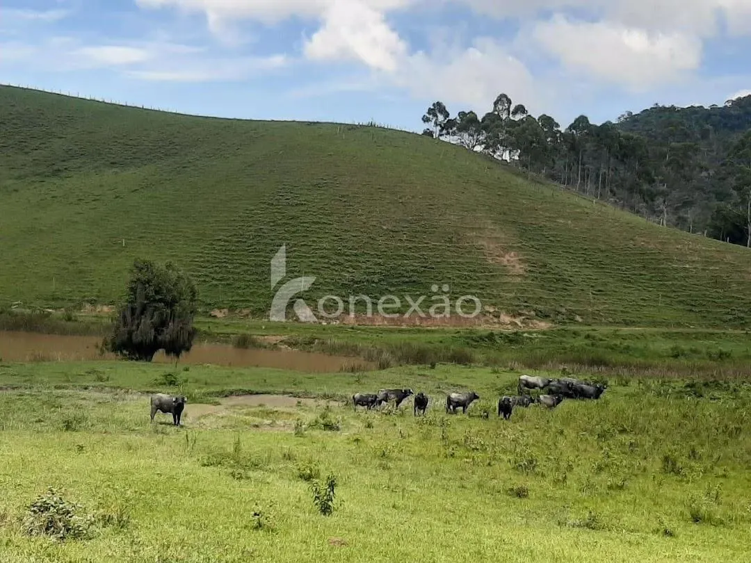 Fazenda à venda de 600 ha em Natividade da Serra, SP, Brasil