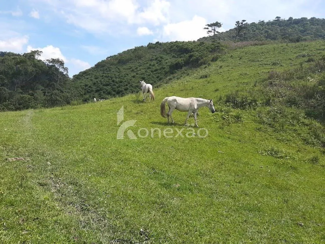 Fazenda à venda de 600 ha em Natividade da Serra, SP, Brasil