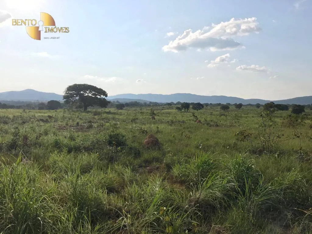 Fazenda à venda de 350 ha em Rosário Oeste, MT, Brasil