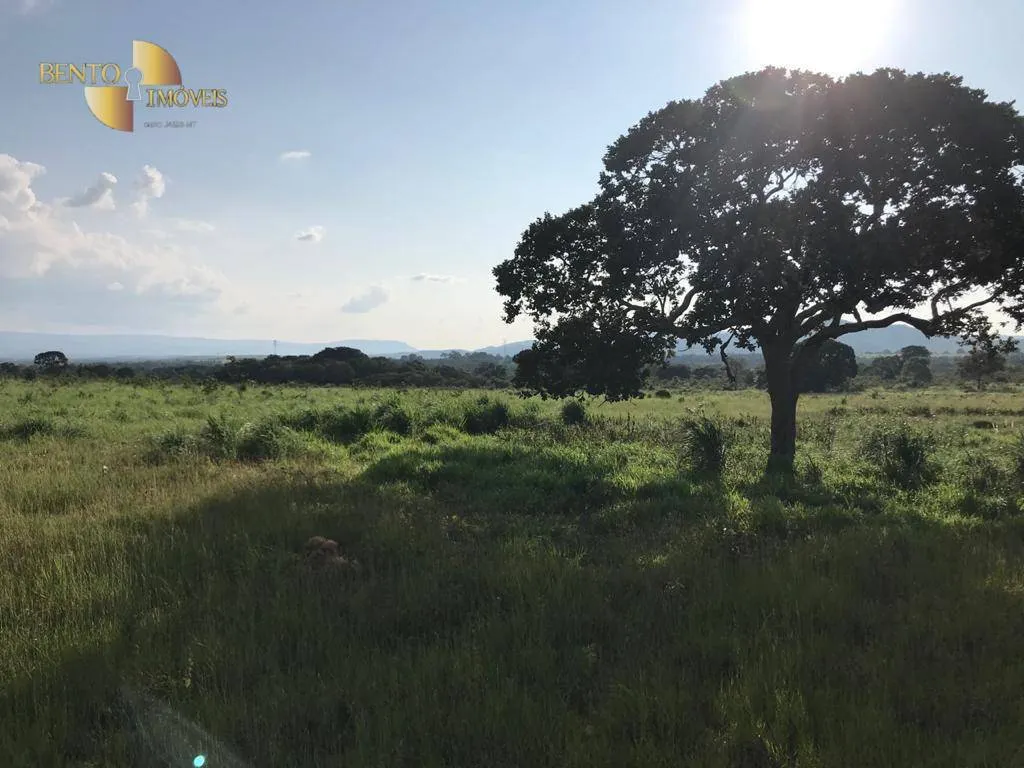 Fazenda à venda de 350 ha em Rosário Oeste, MT, Brasil