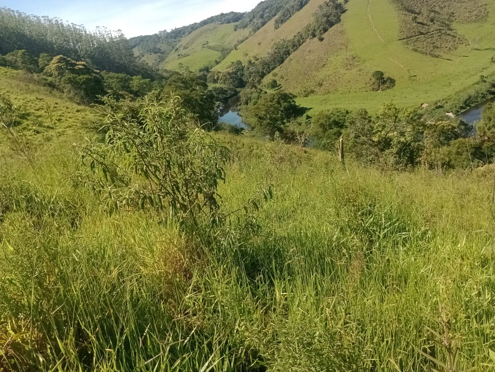 Fazenda à venda de 126 ha em Natividade da Serra, SP, Brasil