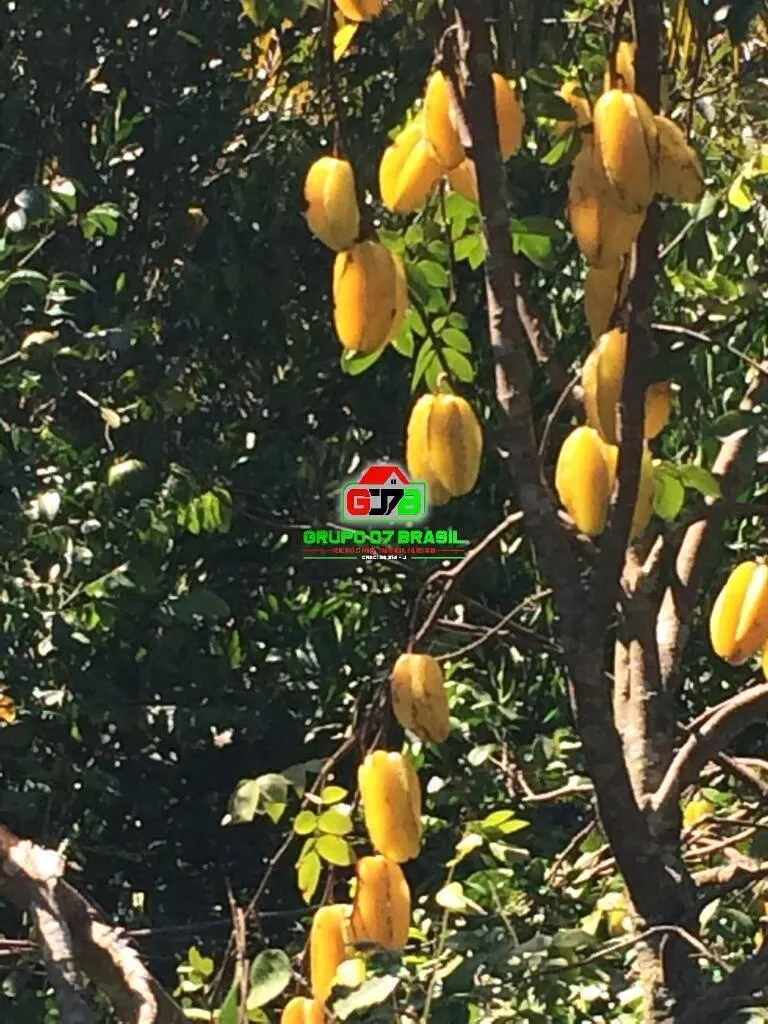 Country home for sale of 5 acres in Paraibuna, SP, Brazil