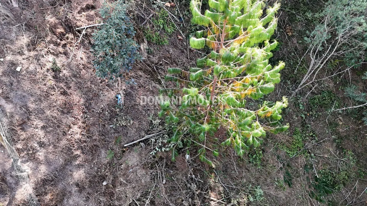 Terreno à venda de 1.182 m² em Campos do Jordão, SP, Brasil