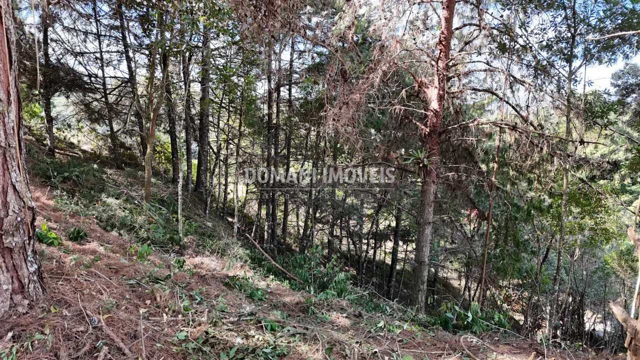 Terreno à venda de 1.182 m² em Campos do Jordão, SP, Brasil