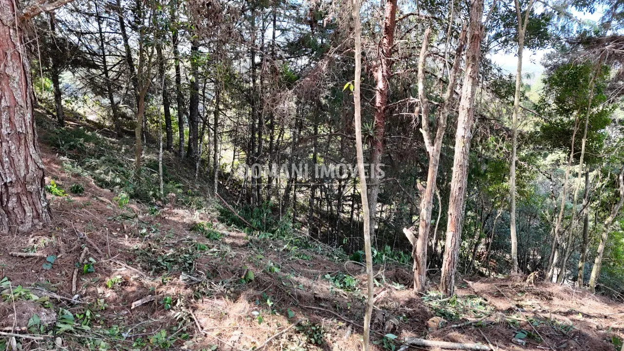 Terreno à venda de 1.182 m² em Campos do Jordão, SP, Brasil