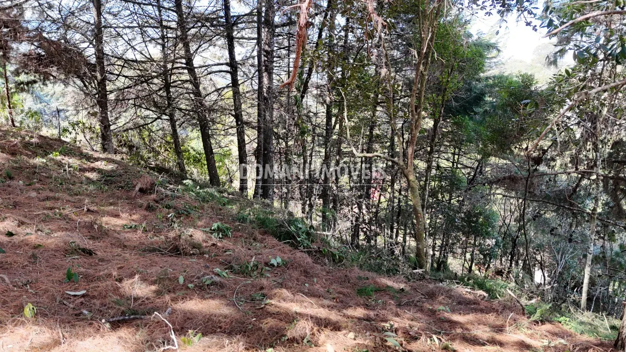 Terreno à venda de 1.182 m² em Campos do Jordão, SP, Brasil