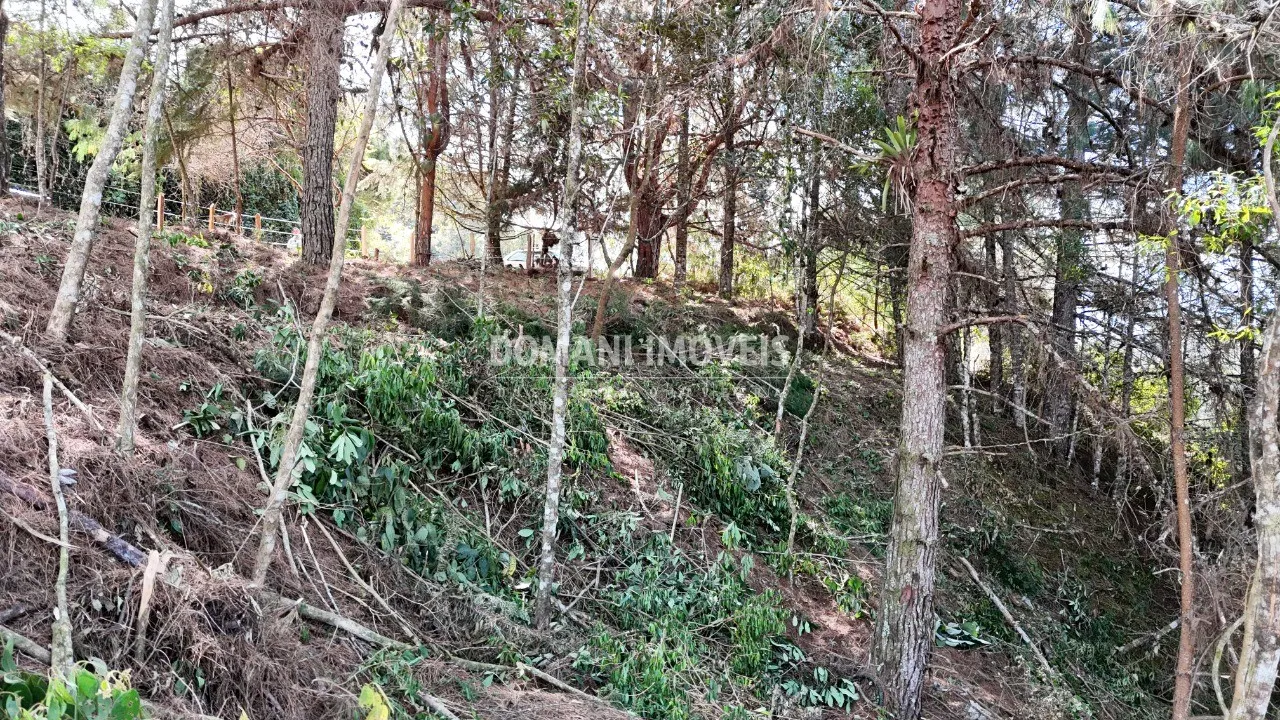 Terreno à venda de 1.182 m² em Campos do Jordão, SP, Brasil