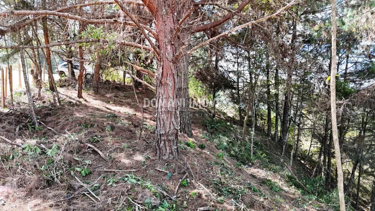Terreno à venda de 1.182 m² em Campos do Jordão, SP, Brasil