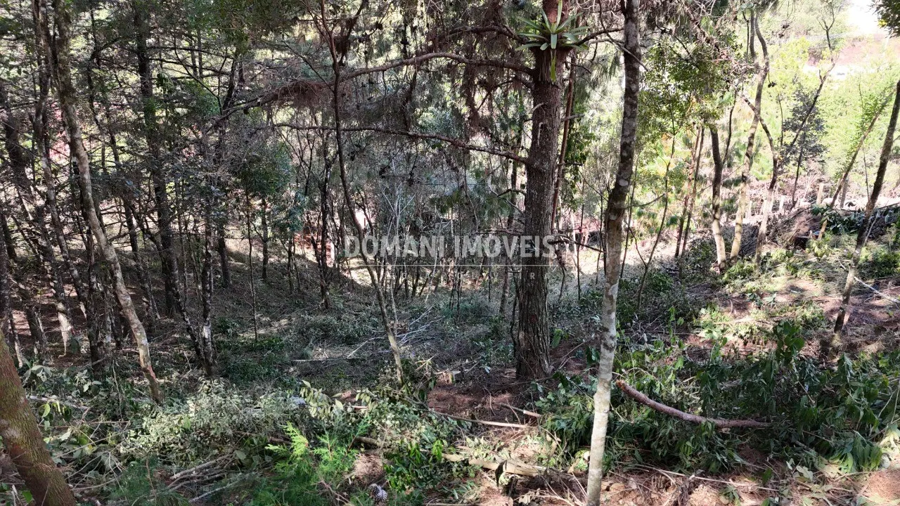 Terreno à venda de 1.182 m² em Campos do Jordão, SP, Brasil