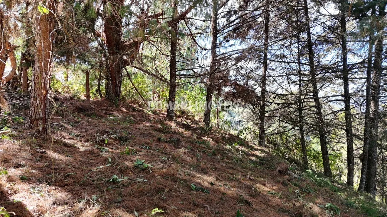 Terreno à venda de 1.182 m² em Campos do Jordão, SP, Brasil