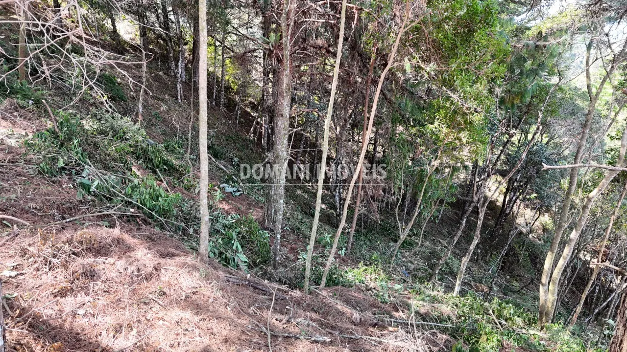 Terreno à venda de 1.182 m² em Campos do Jordão, SP, Brasil