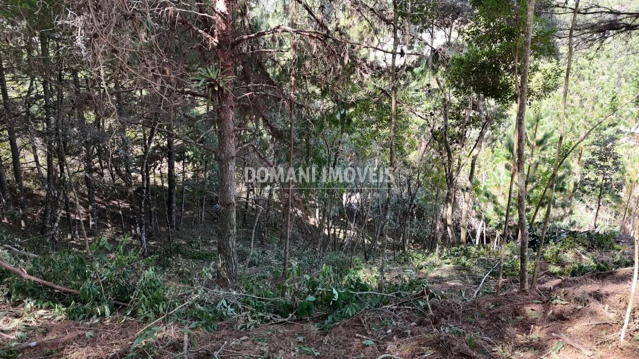 Terreno à venda de 1.182 m² em Campos do Jordão, SP, Brasil