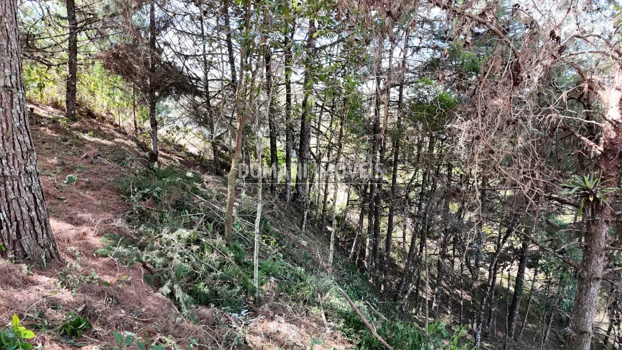 Terreno à venda de 1.182 m² em Campos do Jordão, SP, Brasil
