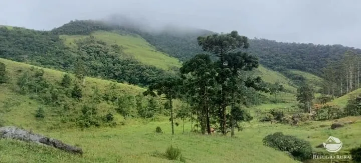 Terreno à venda de 12 ha em São José dos Campos, SP, Brasil