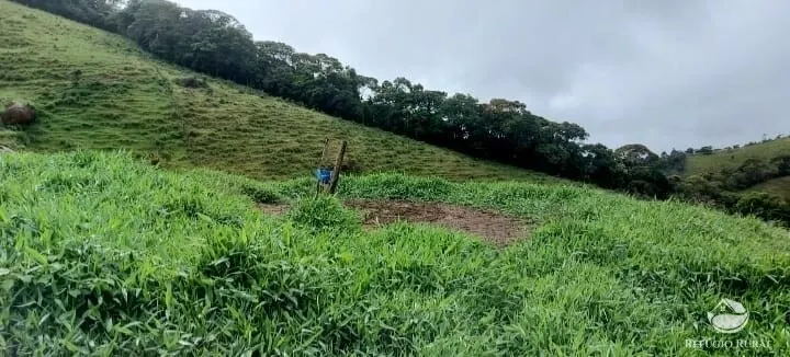 Terreno à venda de 12 ha em São José dos Campos, SP, Brasil