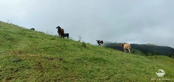 Terreno à venda de 12 ha em São José dos Campos, SP, Brasil