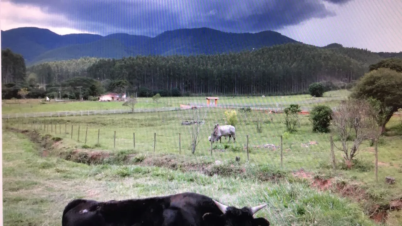 Small farm for sale of 239 acres in Lagoinha, SP, Brazil