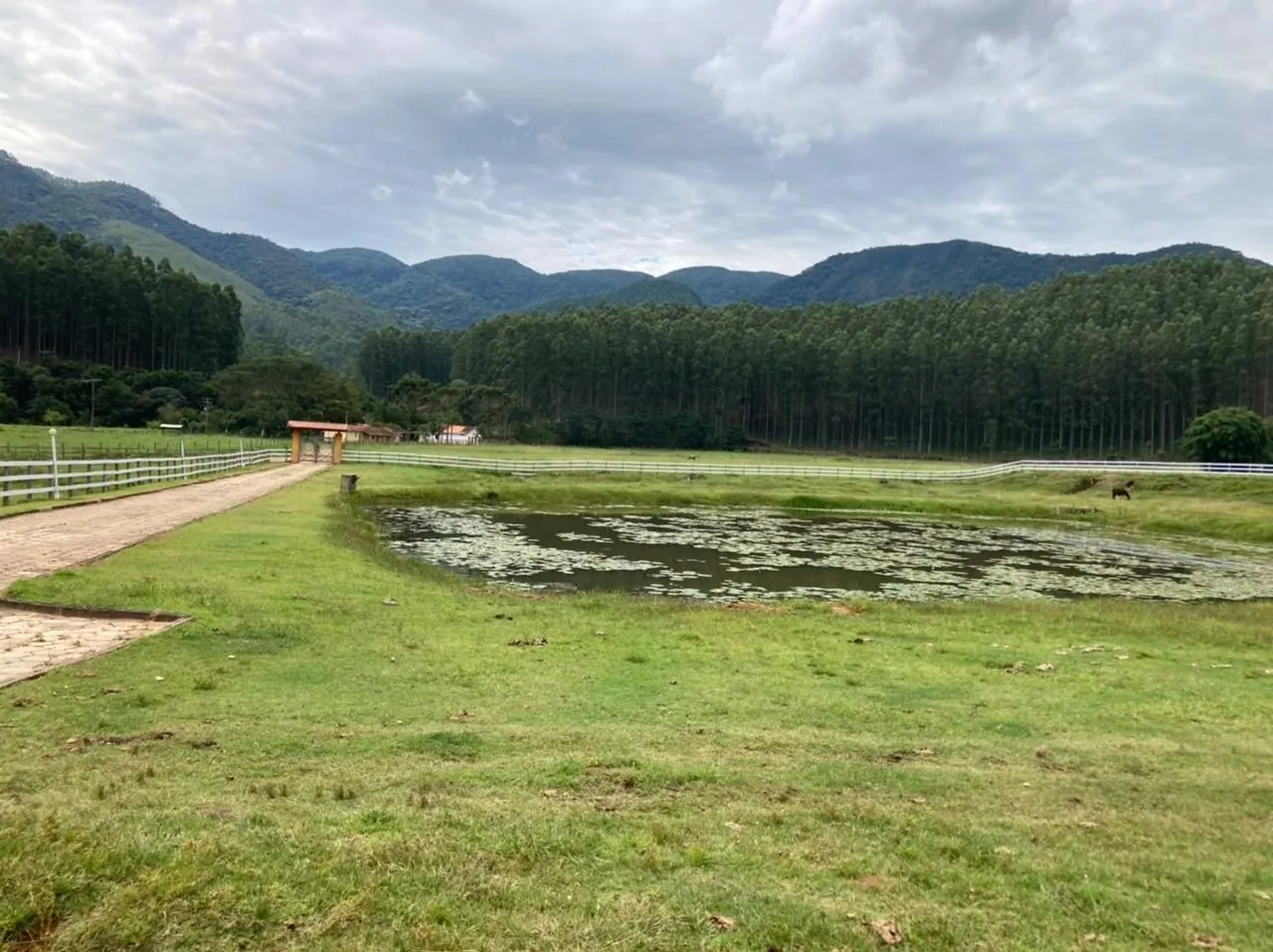 Small farm for sale of 239 acres in Lagoinha, SP, Brazil