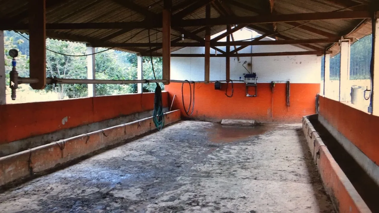 Small farm for sale of 239 acres in Lagoinha, SP, Brazil