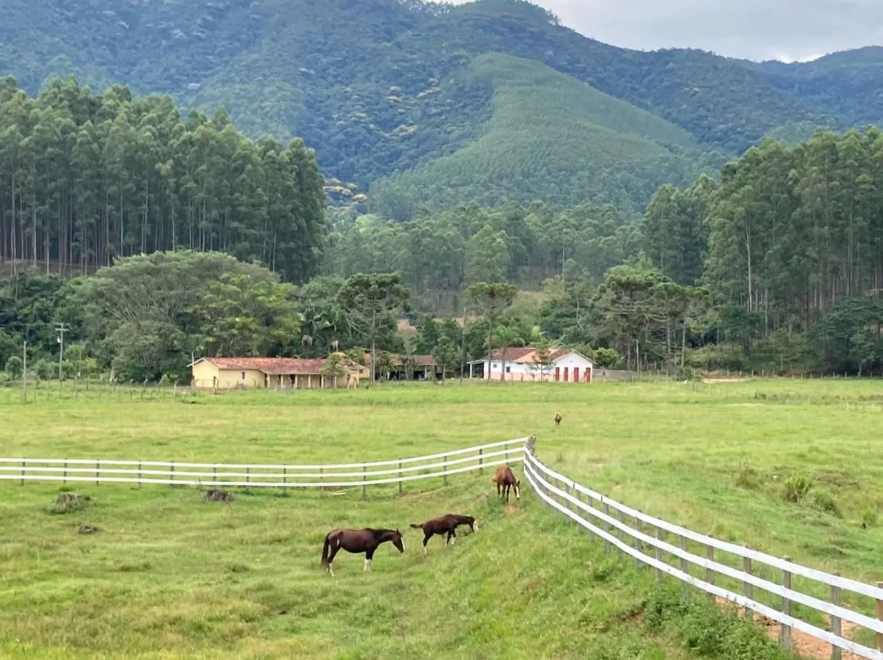 Small farm for sale of 239 acres in Lagoinha, SP, Brazil