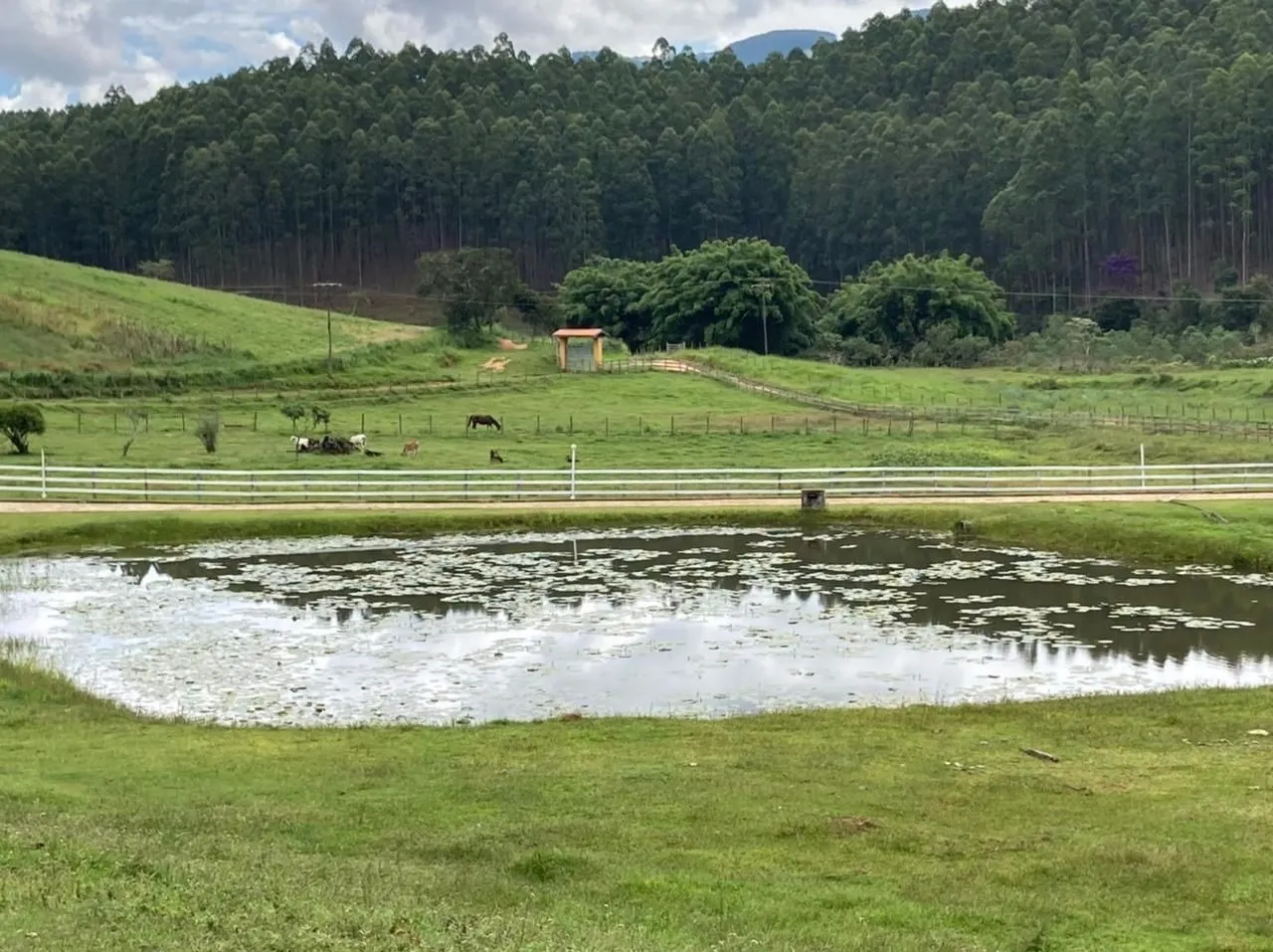 Small farm for sale of 239 acres in Lagoinha, SP, Brazil